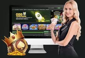 267 bet